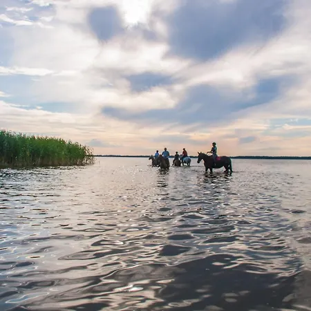Деревянный коттедж Projekt Stajnia - Nadmorski Osrodek Jazdy Konnej - Лазы