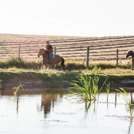Projekt Stajnia - Nadmorski Ośrodek Jazdy Konnej - *