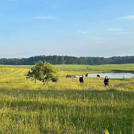Projekt Stajnia - Nadmorski Osrodek Jazdy Konnej - Деревянный коттедж Лазы