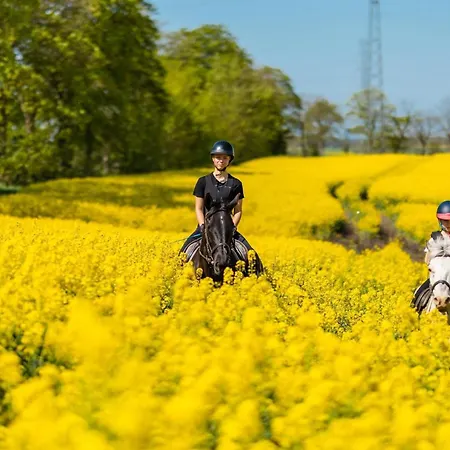Projekt Stajnia - Nadmorski Osrodek Jazdy Konnej - *