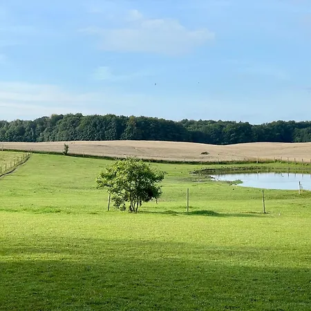 Projekt Stajnia - Nadmorski Ośrodek Jazdy Konnej - Domek letniskowy Łazy