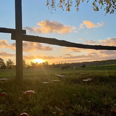 Lodge Projekt Stajnia - Nadmorski Osrodek Jazdy Konnej - *
