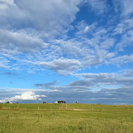 Projekt Stajnia - Nadmorski Osrodek Jazdy Konnej - Lodge Łazy