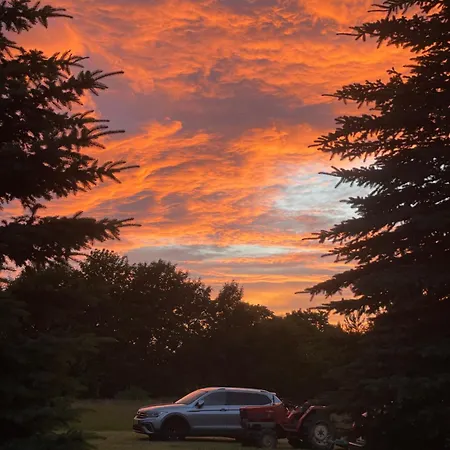 Projekt Stajnia - Nadmorski Osrodek Jazdy Konnej - *