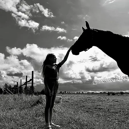 Lodge Projekt Stajnia - Nadmorski Osrodek Jazdy Konnej - Łazy