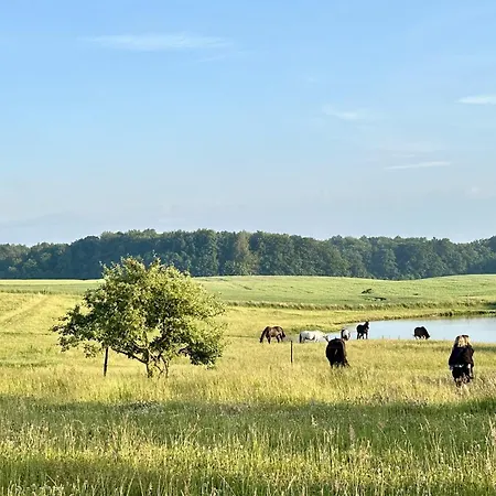 Projekt Stajnia - Nadmorski Ośrodek Jazdy Konnej - Domek letniskowy *